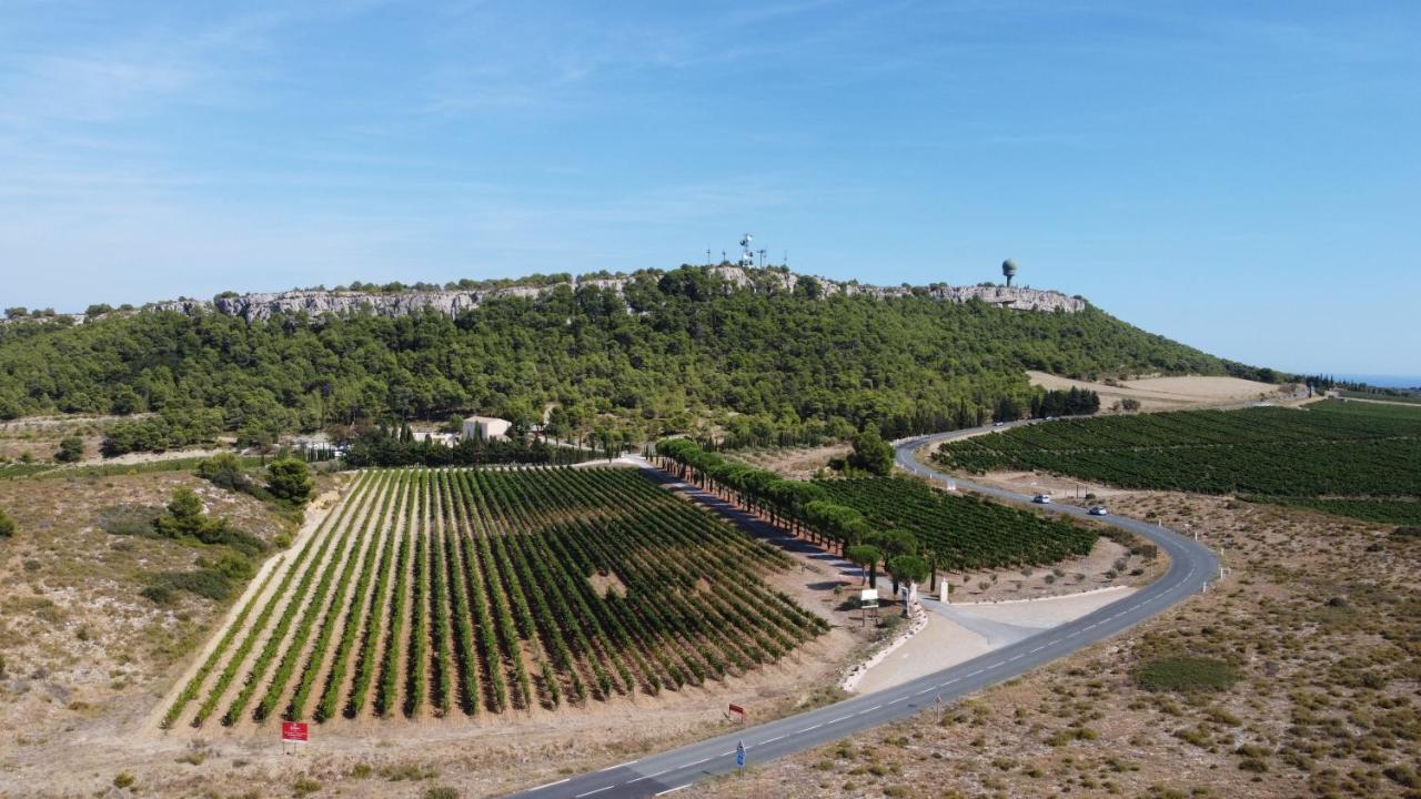 Chateau Catherine De Montgolfier B&B Et Gites Narbonne Exterior foto