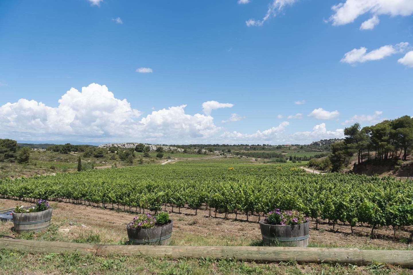Chateau Catherine De Montgolfier B&B Et Gites Narbonne Exterior foto